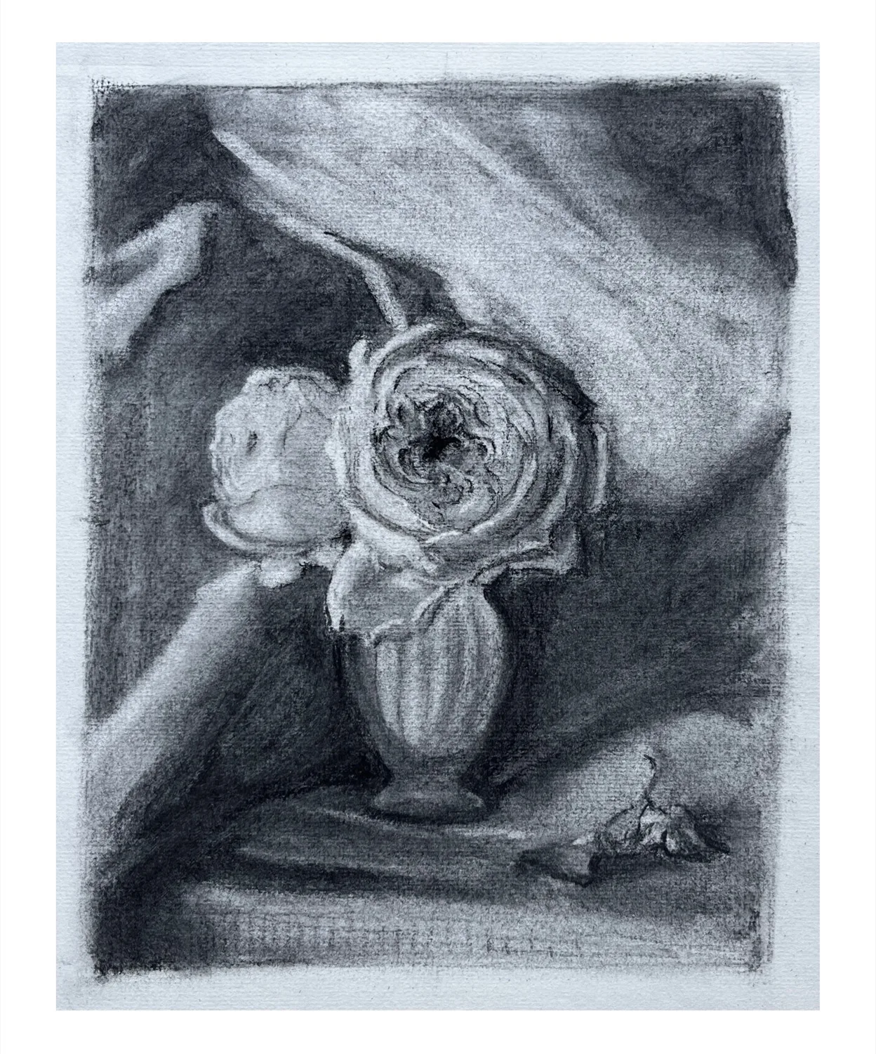 Charcoal drawing of a rose in a fluted vase, by Chrisell
